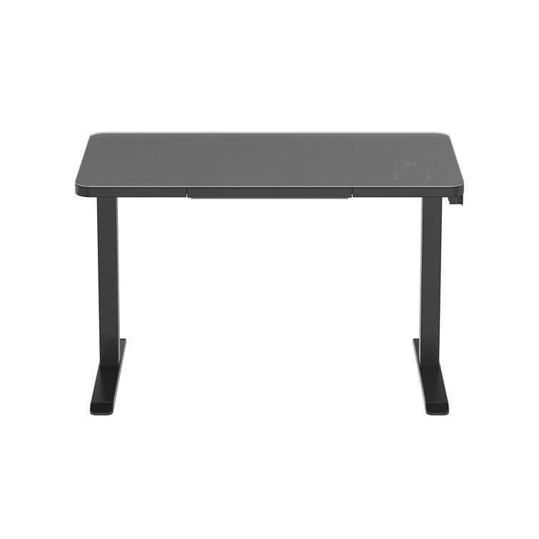 Latitude Run® Glass Tabletop Standing Desk Wayfair